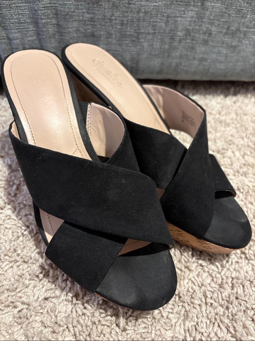 Charles by Charles David wedge sandal